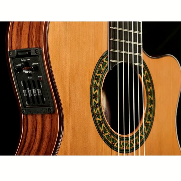 Alhambra 5P CT E2 incl.Gig Bag