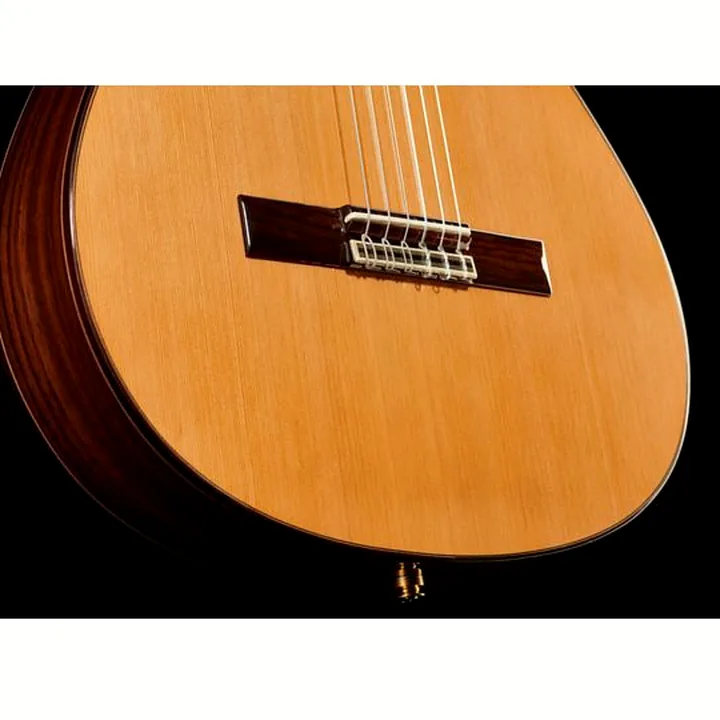 Alhambra 5P CT E2 incl.Gig Bag
