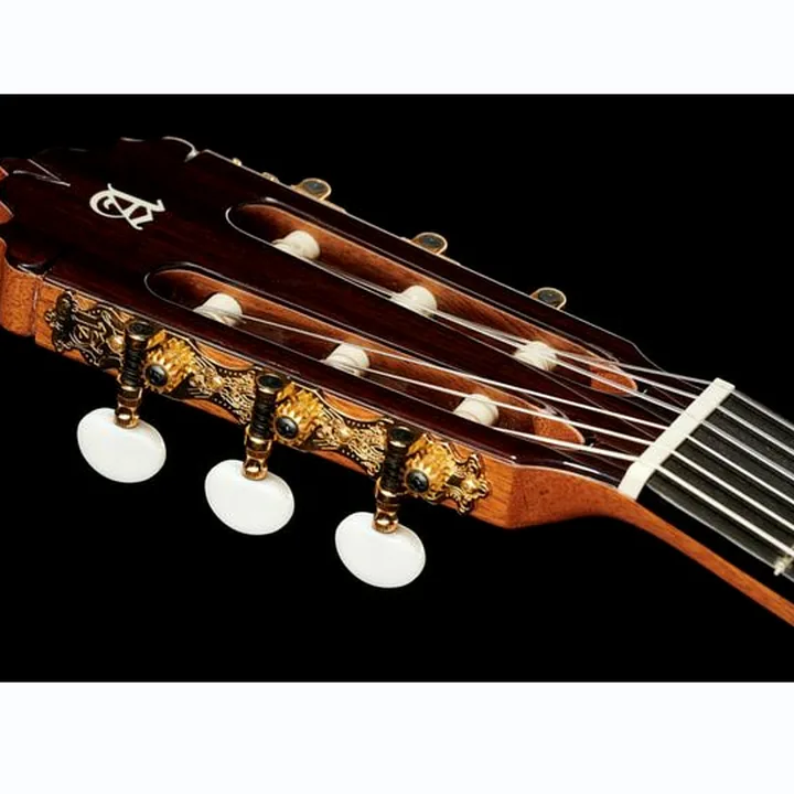 Alhambra 5P CT E2 incl.Gig Bag