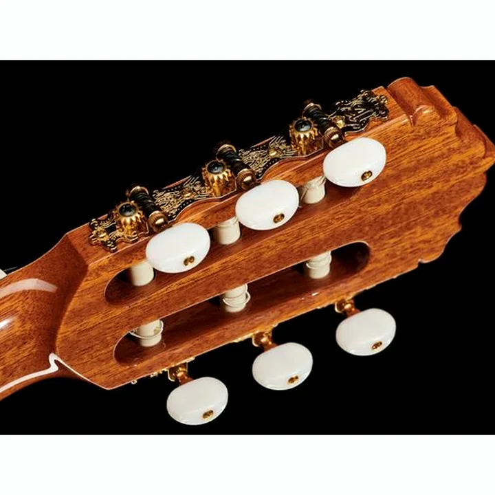 Alhambra 5P CT E2 incl.Gig Bag