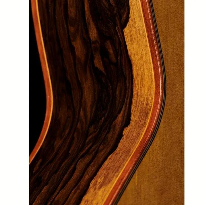 Alhambra Luthier Aniversario