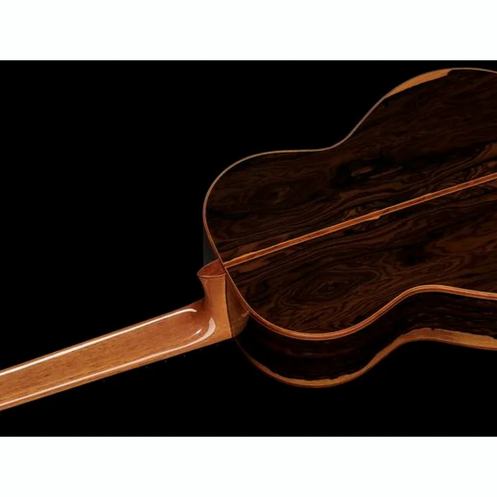 Alhambra Luthier Aniversario