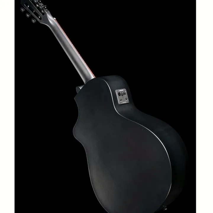 Breedlove Discovery S Conc Nylon CE BS