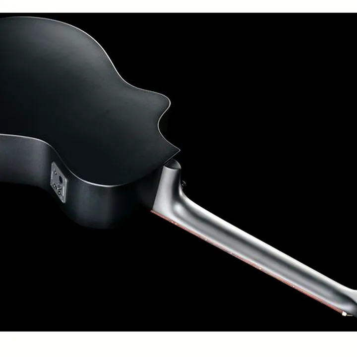 Breedlove Discovery S Conc Nylon CE BS