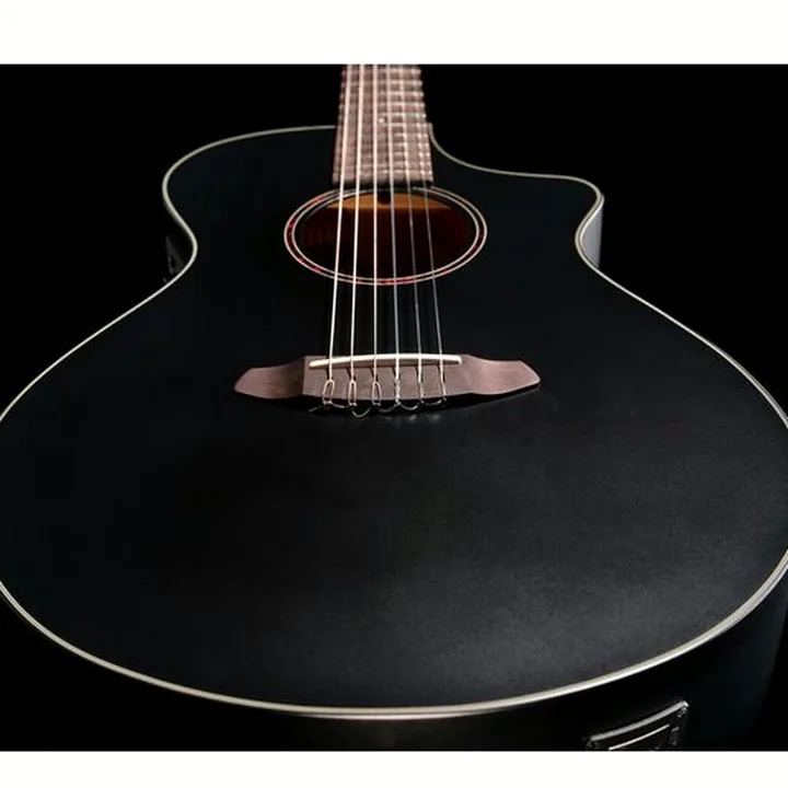 Breedlove Discovery S Conc Nylon CE BS