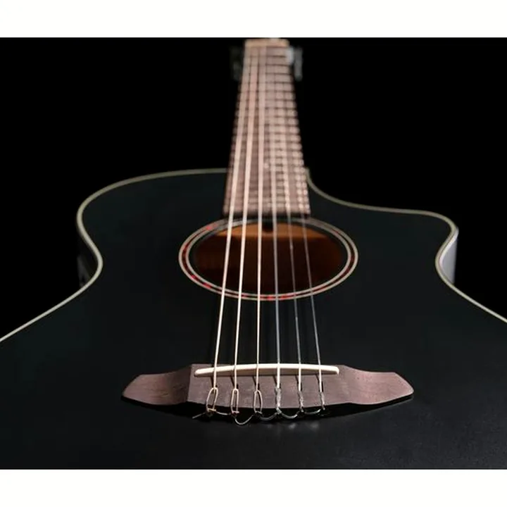 Breedlove Discovery S Conc Nylon CE BS