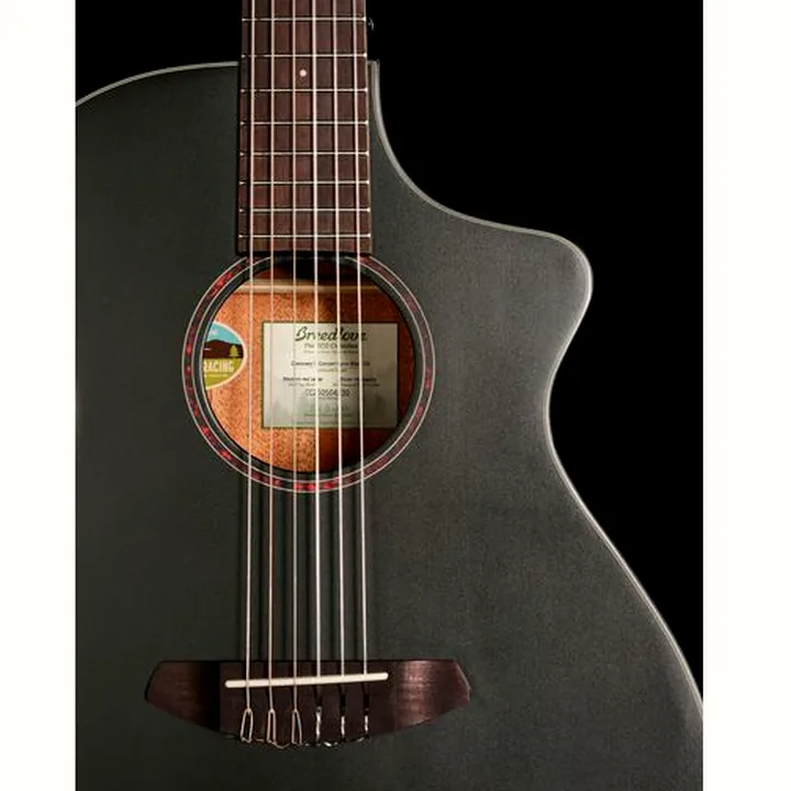 Breedlove Discovery S Conc Nylon CE BS