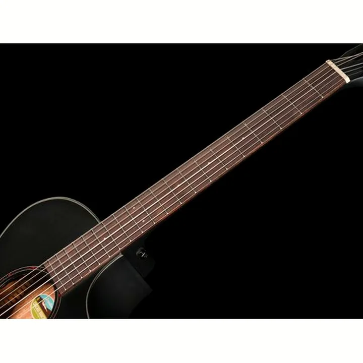 Breedlove Discovery S Conc Nylon CE BS