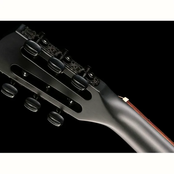 Breedlove Discovery S Conc Nylon CE BS