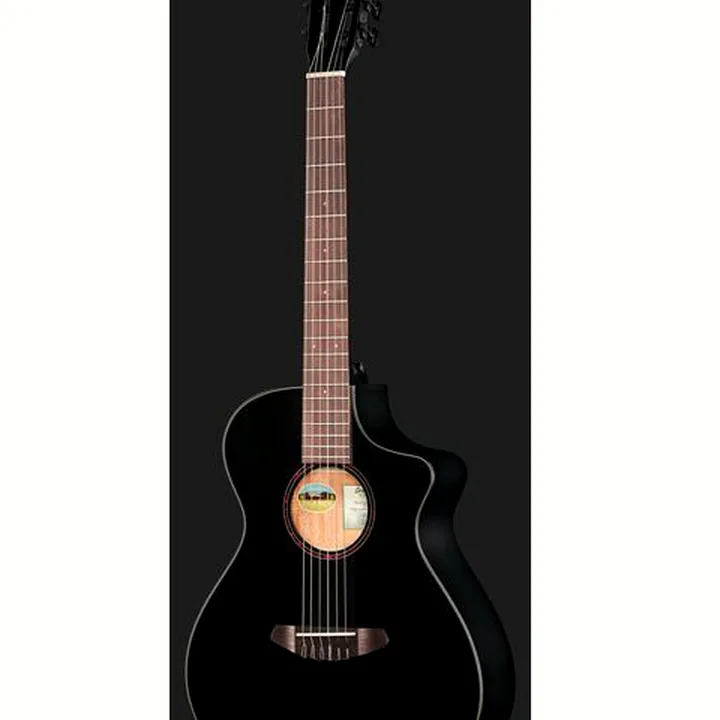 Breedlove Discovery S Conc Nylon CE BS