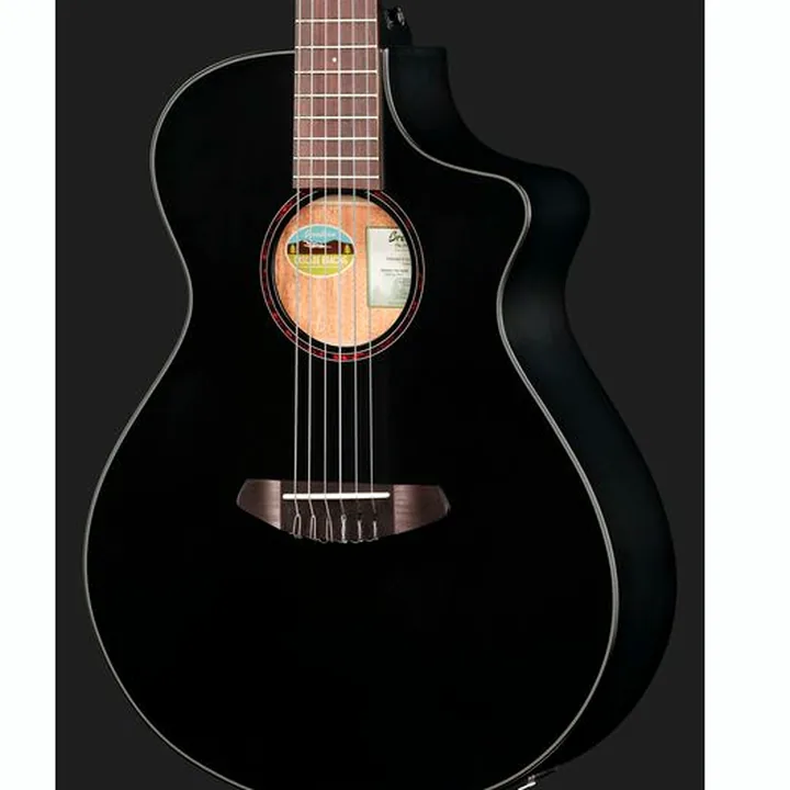 Breedlove Discovery S Conc Nylon CE BS