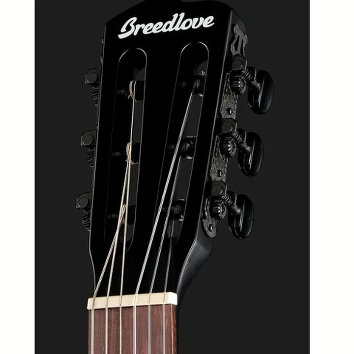 Breedlove Discovery S Conc Nylon CE BS