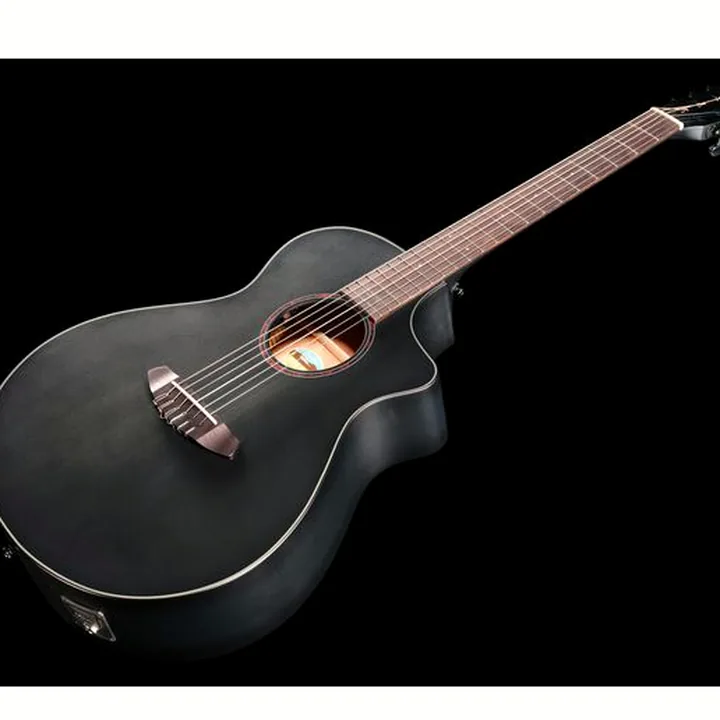 Breedlove Discovery S Conc Nylon CE BS