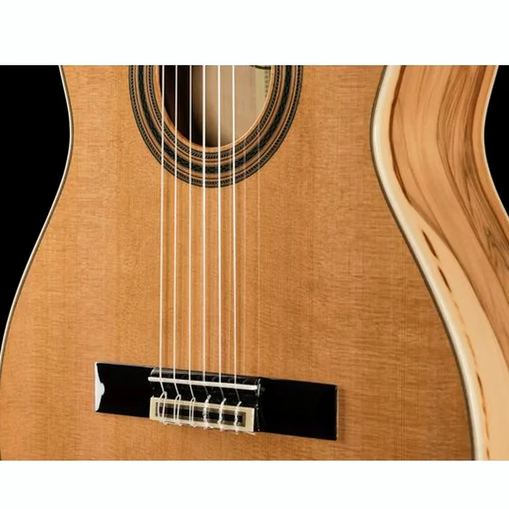 Ortega R20GRG