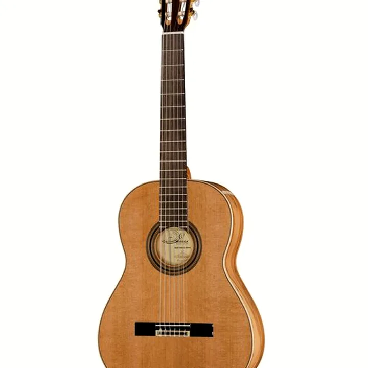 Test completo de la guitarra Ortega R20GRG: análisis y opinión técnica