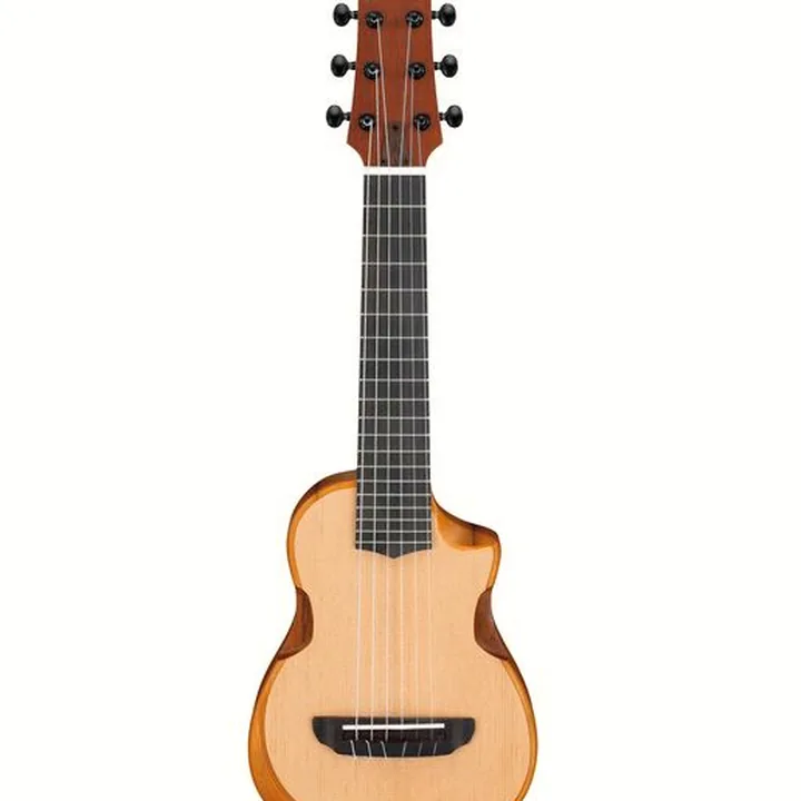Test completo de la Ibanez AUP10N-OPN: análisis detallado y opiniones