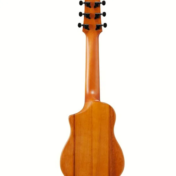 Ibanez AUP10N-OPN