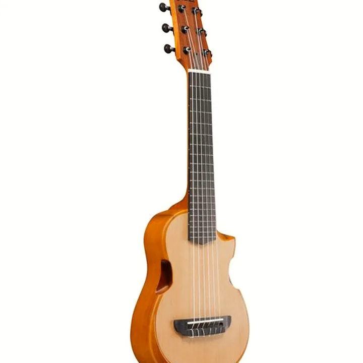 Ibanez AUP10N-OPN