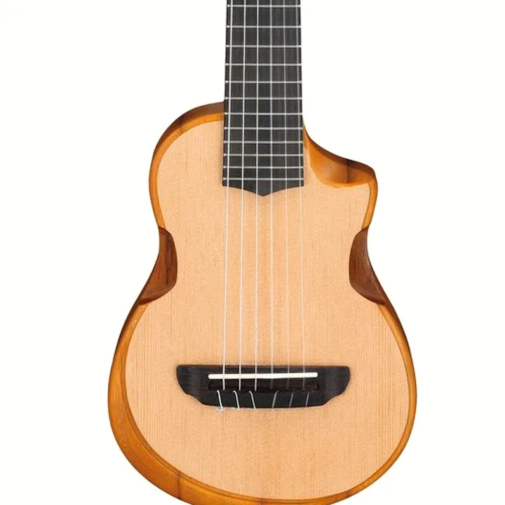 Ibanez AUP10N-OPN