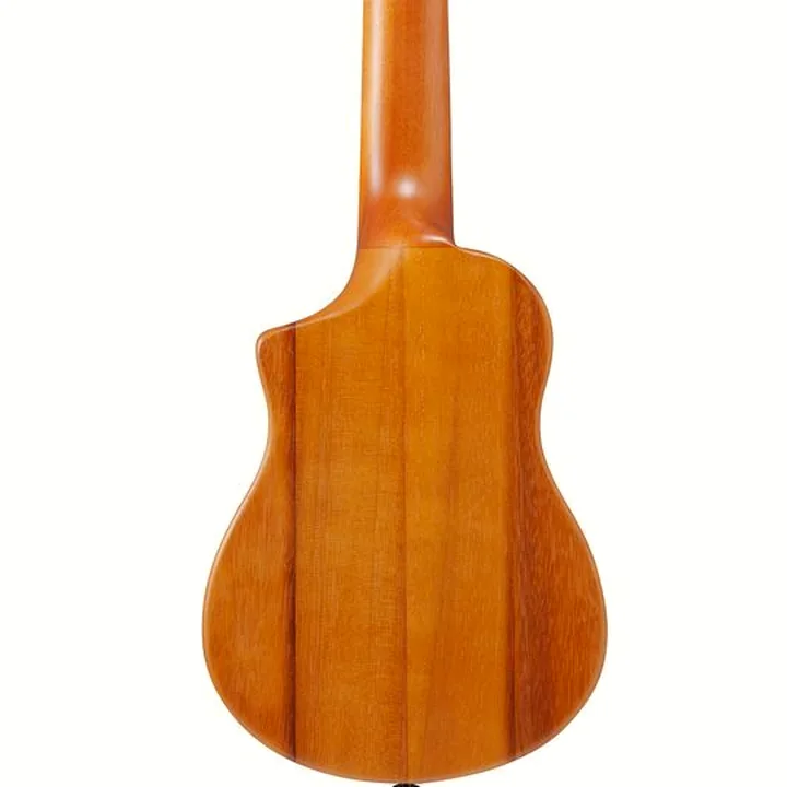 Ibanez AUP10N-OPN