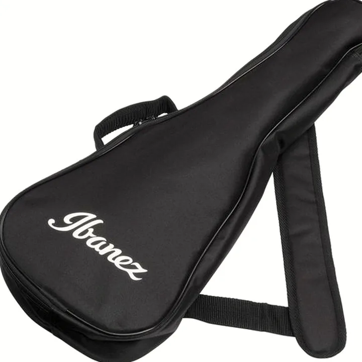 Ibanez AUP10N-OPN