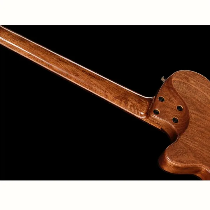 Cort Sunset Nylectric DLX
