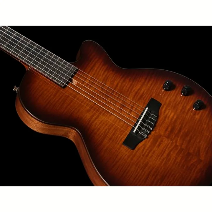 Cort Sunset Nylectric DLX
