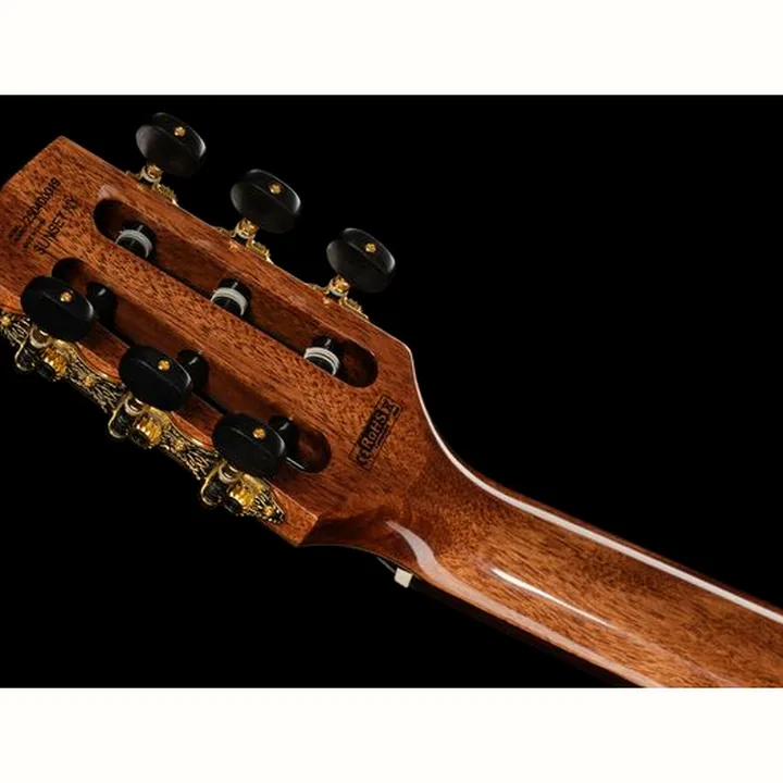 Cort Sunset Nylectric DLX