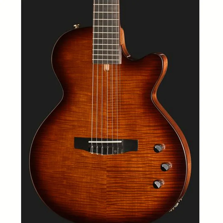 Cort Sunset Nylectric DLX