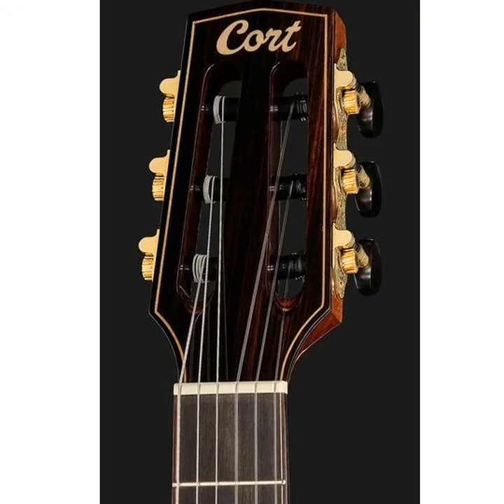 Cort Sunset Nylectric DLX