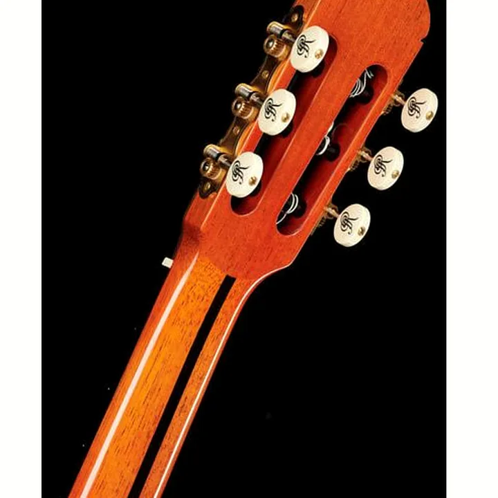 Ramirez Tradicional 1A w. case