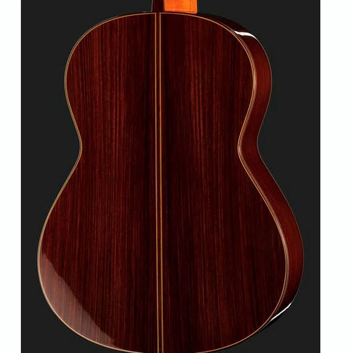 Ramirez Tradicional 1A w. case