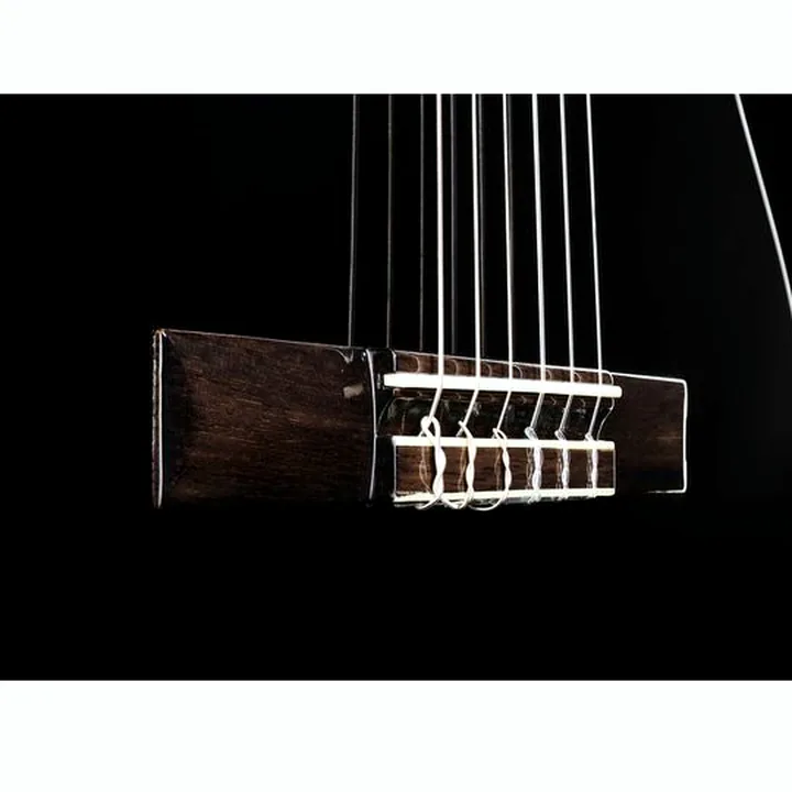 Fender CN-140SCE Thinline Black