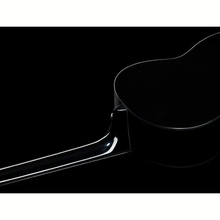 Fender CN-60S Black IL