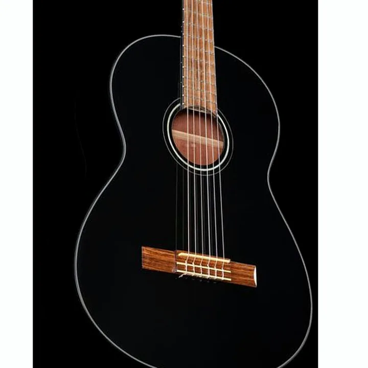 Fender CN-60S Black IL