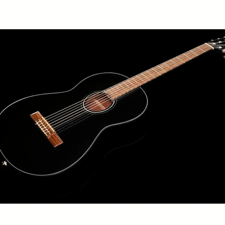 Fender CN-60S Black IL