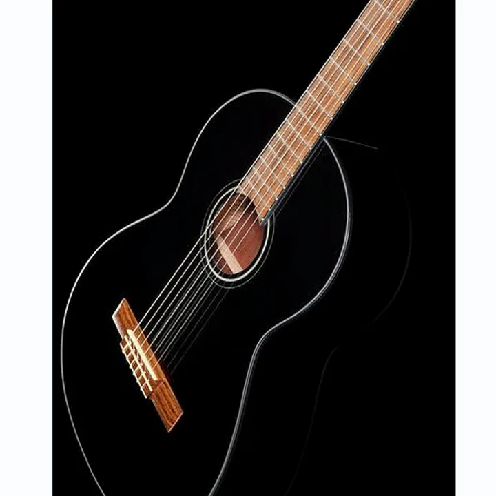 Fender CN-60S Black IL