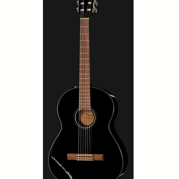 Fender CN-60S Black IL