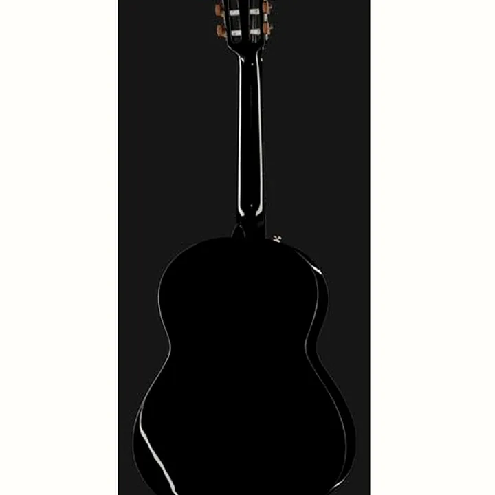 Fender CN-60S Black IL
