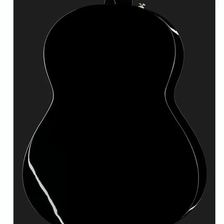 Fender CN-60S Black IL