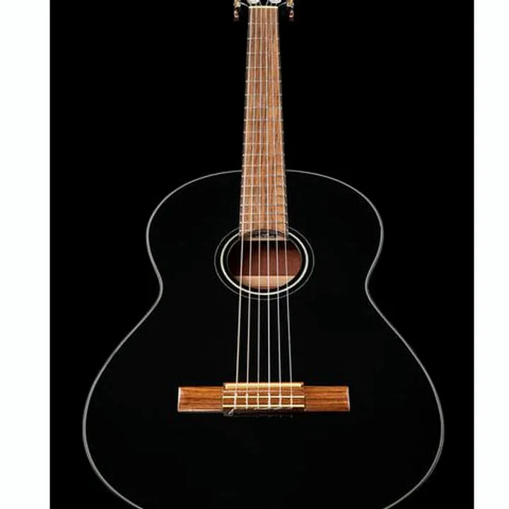 Fender CN-60S Black IL