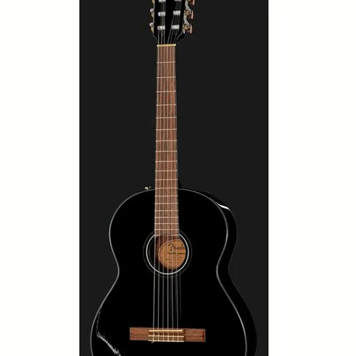 Fender CN-60S Black IL w/Bag