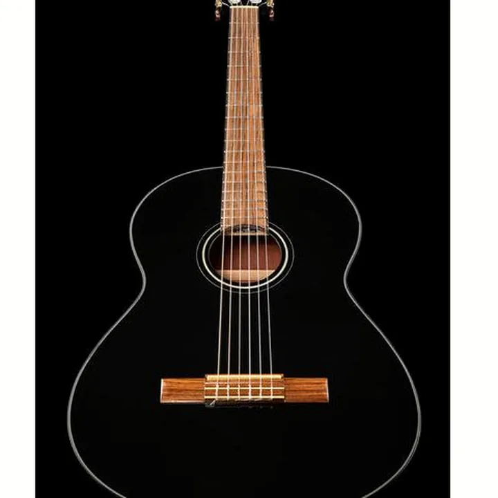 Fender CN-60S Black IL w/Bag