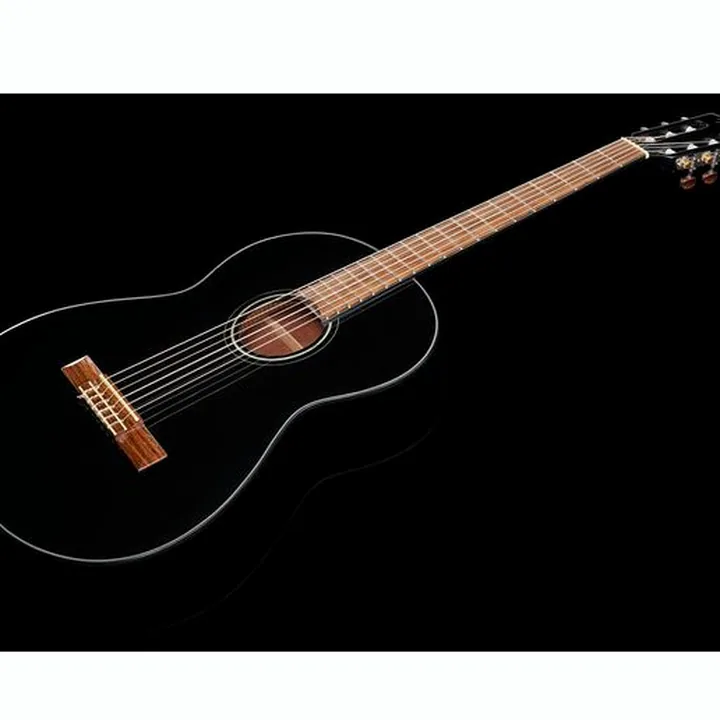 Fender CN-60S Black IL w/Bag