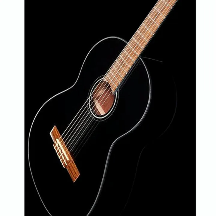 Fender CN-60S Black IL w/Bag