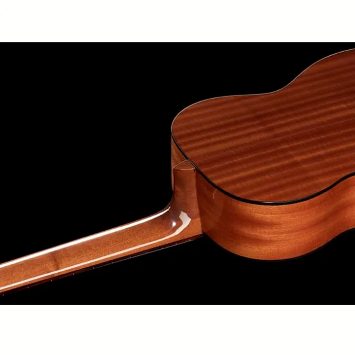Gewa Pro Arte GC100A