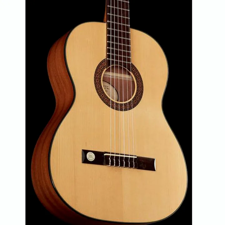 Gewa Pro Arte GC100A