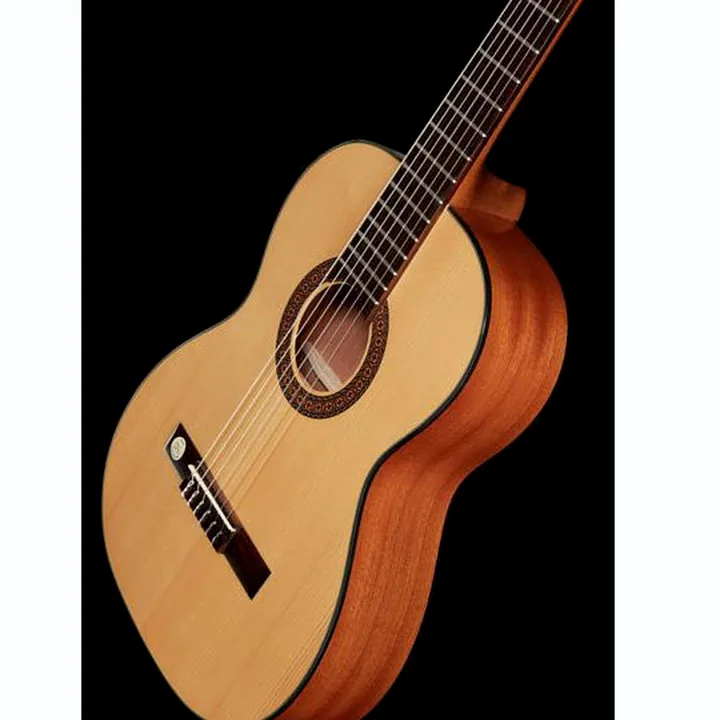Gewa Pro Arte GC100A