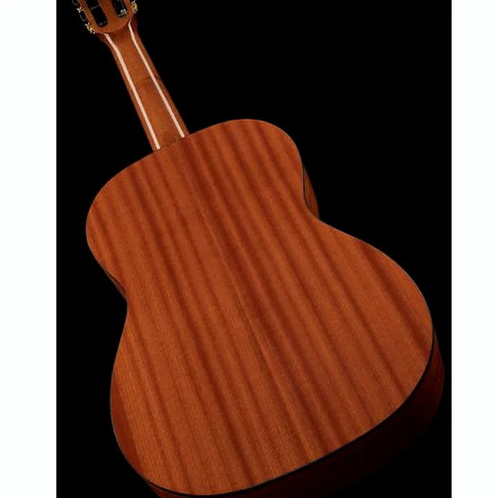 Gewa Pro Arte GC100A