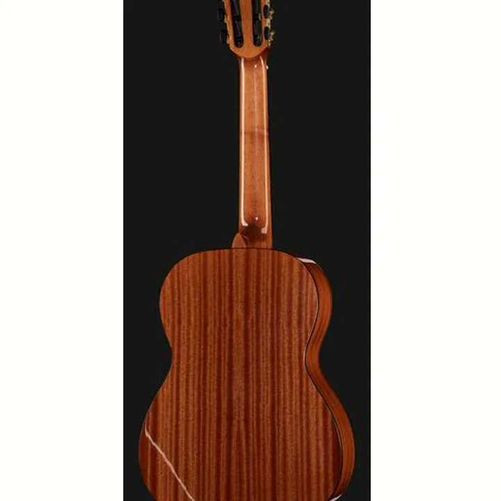 Gewa Pro Arte GC100A